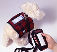 Convierte tu perro en un sistema de altavoces iPod que camina