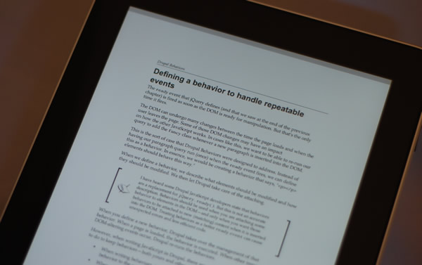 iPad PDF
